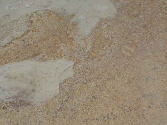 sq-sample37